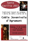 cobla jovenivola  Sta Ceclia 2011