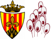 Imatge de complement